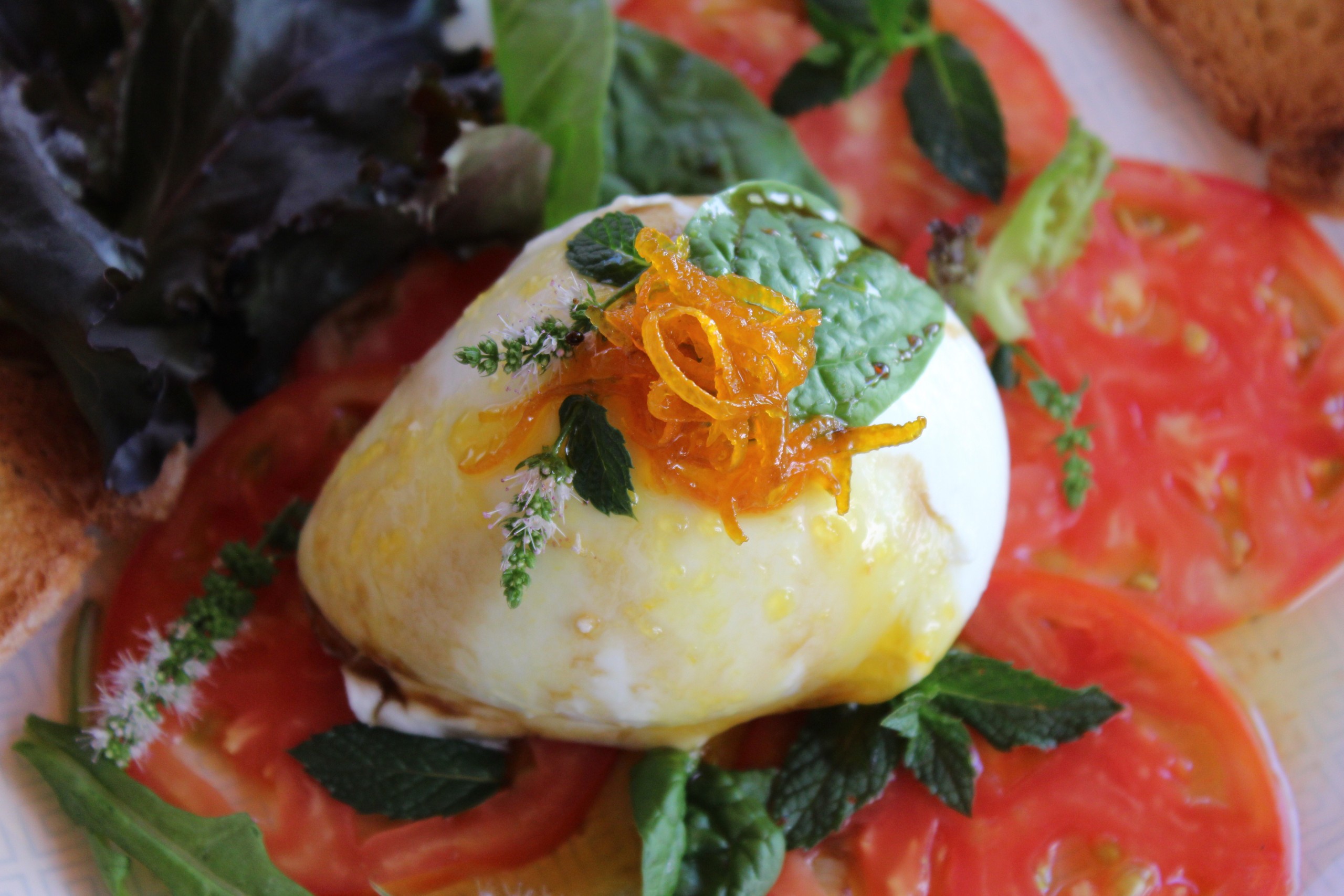 Burrata sobre lechugas variadas y tomates con confitura de naranja scaled