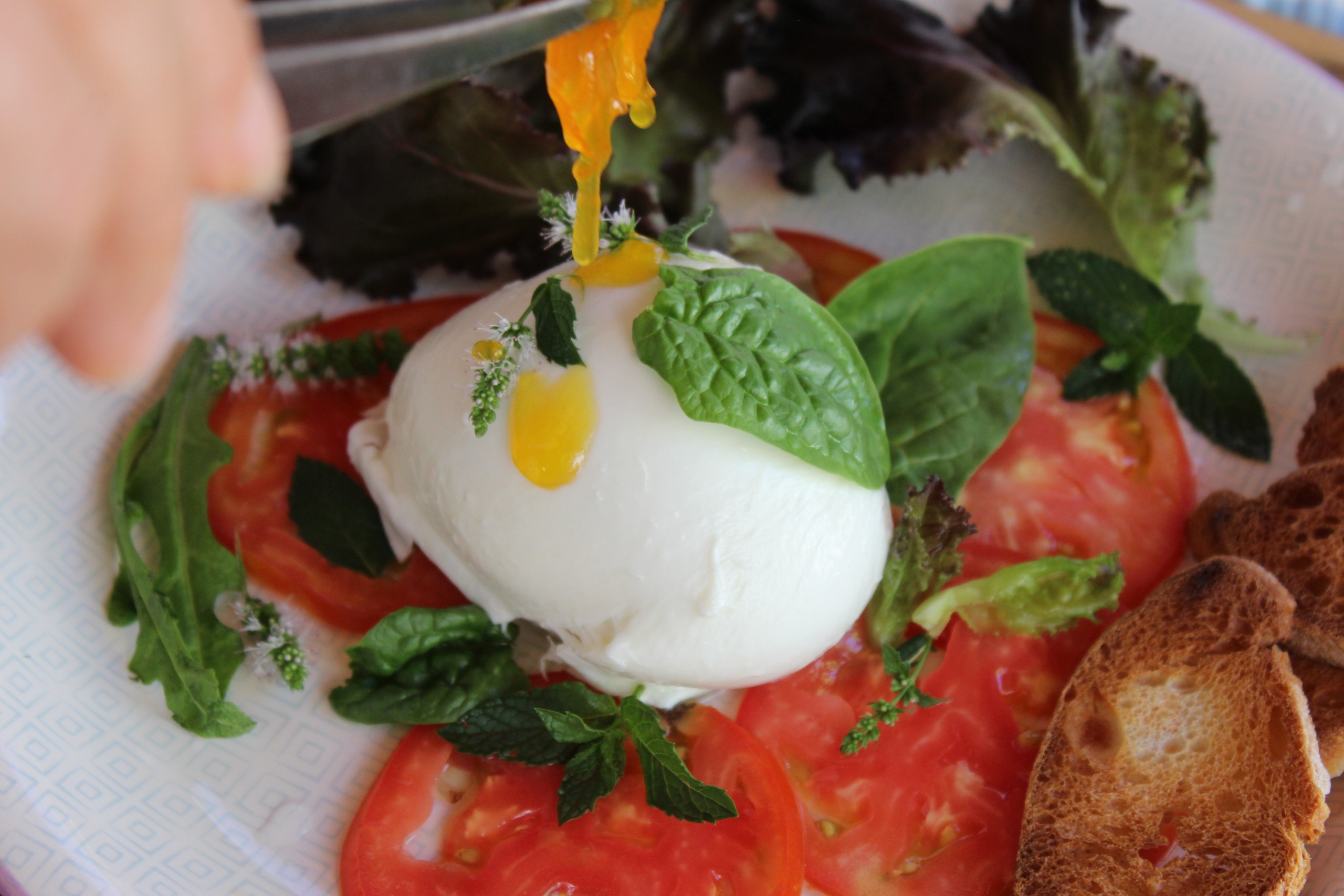 Ensalada gourmet con mozzarella, tomate laminado, hierbas frescas y confitura de naranja