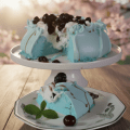 Pavlova primavera azul